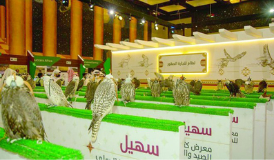 Katara falcon exhibition